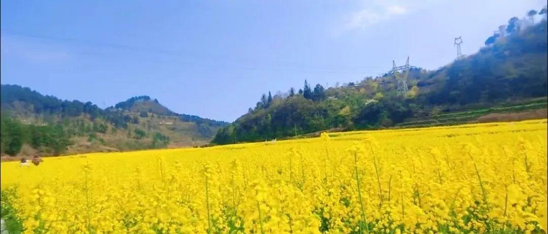 貴陽火車站橋下還有嗎_貴陽火車站橋下_貴陽火車站橋下面服務態度