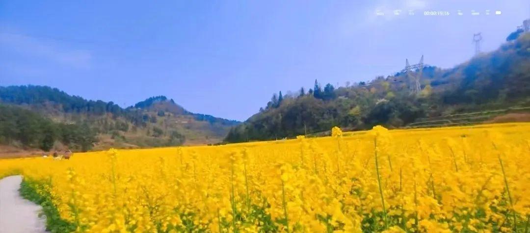 貴陽火車站橋下面服務態度_貴陽火車站橋下_貴陽火車站橋下還有嗎