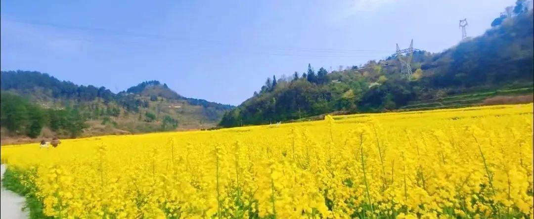 貴陽火車站橋下面服務態度_貴陽火車站橋下還有嗎_貴陽火車站橋下