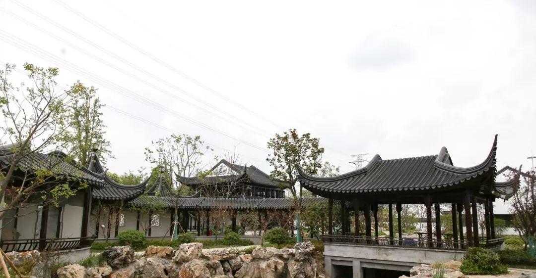 陽澄湖大閘蟹旅游_陽澄湖大閘蟹一日游_陽澄湖大閘蟹自駕游