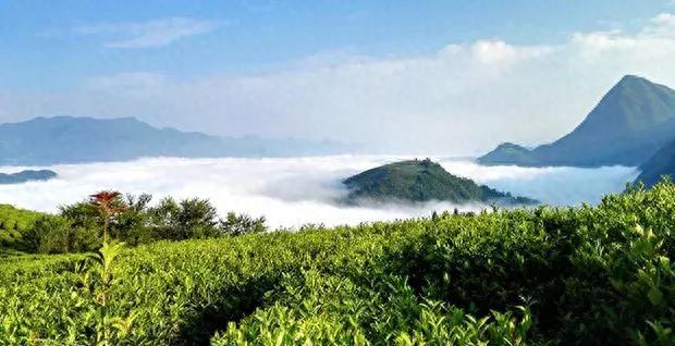 陜南自駕游_自駕游陜南看油菜花路線怎么走_陜南自駕游最值得去的地方