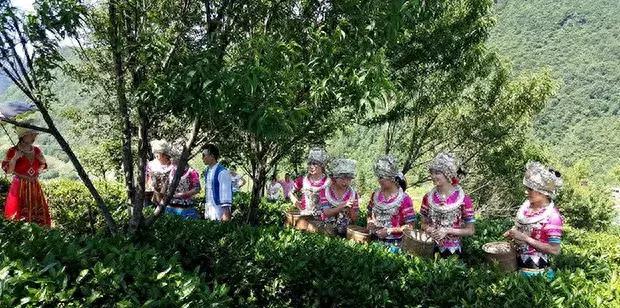 陜南自駕游最值得去的地方_自駕游陜南看油菜花路線怎么走_陜南自駕游