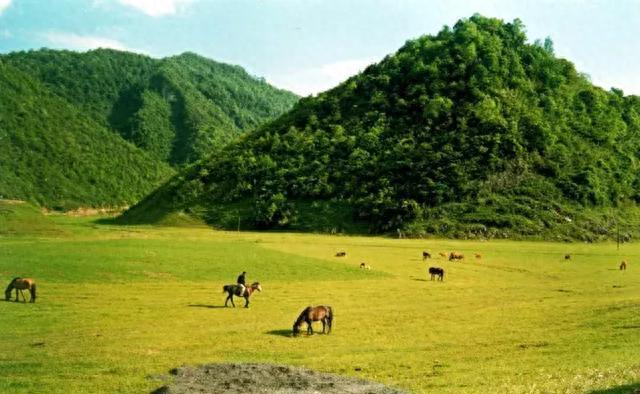 陜南自駕游_自駕游陜南看油菜花路線怎么走_陜南自駕游最值得去的地方