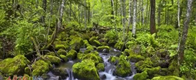 樺甸火車票_樺甸火車時刻表_樺甸火車