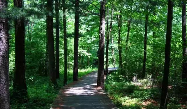 樺甸火車_樺甸火車票_樺甸火車時刻表