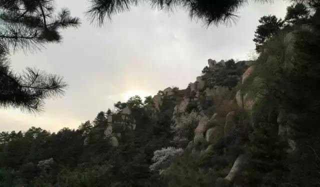 樺甸火車票_樺甸火車_樺甸火車時刻表