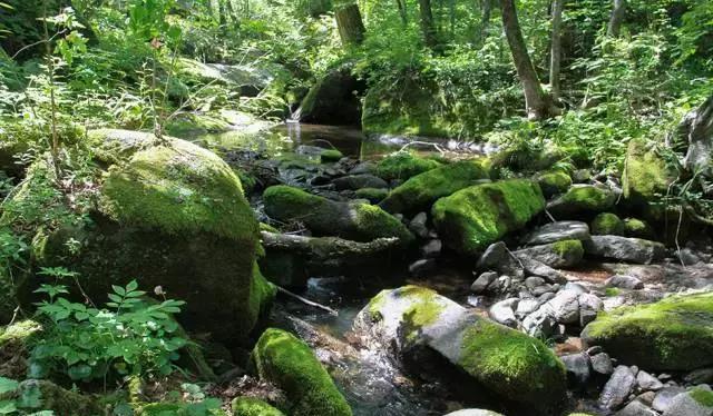 樺甸火車票_樺甸火車_樺甸火車時刻表