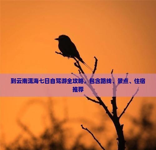 到云南洱海七日自駕游全攻略,包含路線、景點、住宿推薦