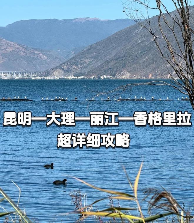 昆明悟空自駕游_悟空自駕游官網(wǎng)_昆明悟空旅游信息咨詢有限公司