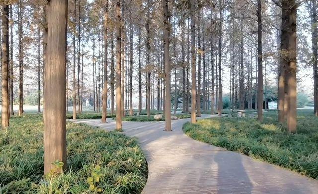 濮陽旅游景區(qū)_濮陽景區(qū)旅游路線_濮陽景區(qū)旅游景點大全