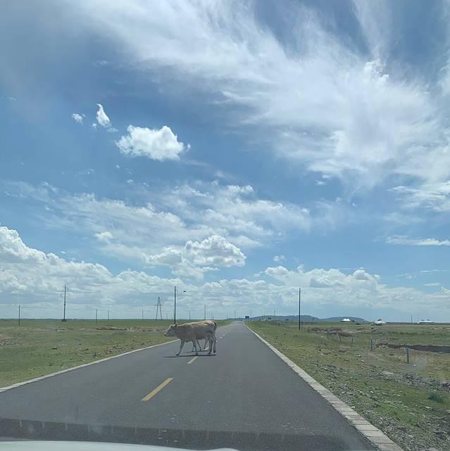 烏拉蓋旅游攻略自駕游_烏拉蓋旅游攻略_烏拉蓋景點路線攻略