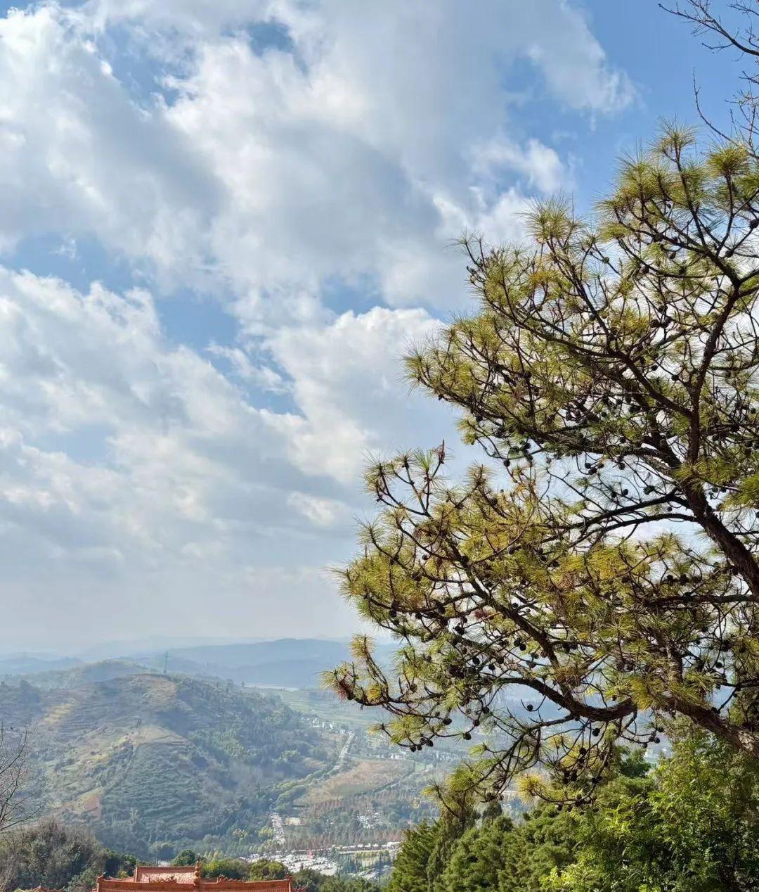 自駕游去南方去哪里好_自駕南方什么地方好玩_去南自駕游
