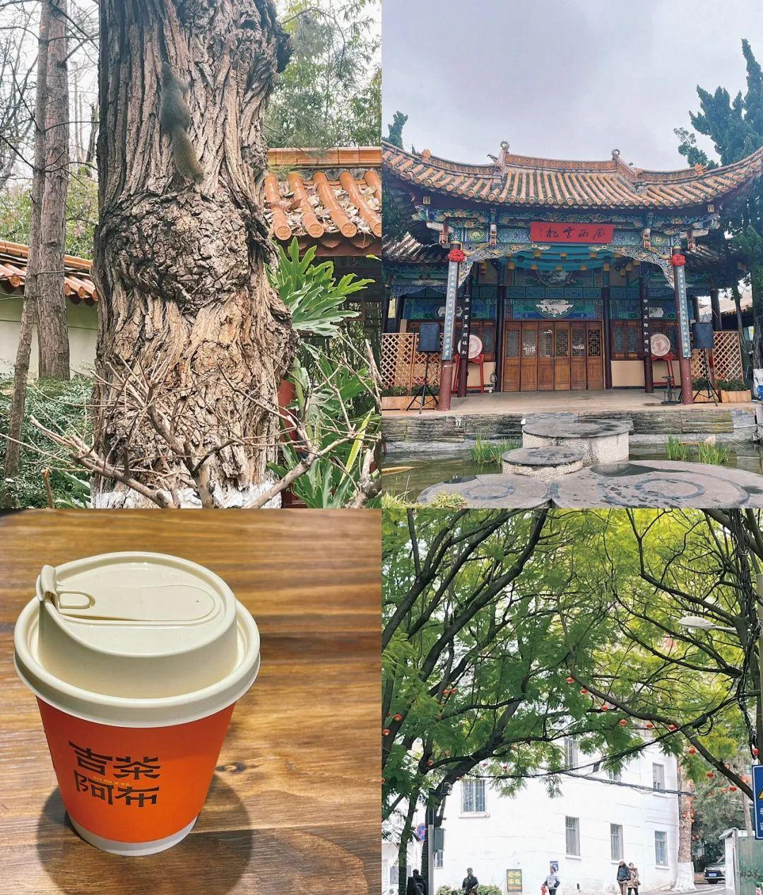 去南自駕游_自駕南方什么地方好玩_自駕游去南方去哪里好