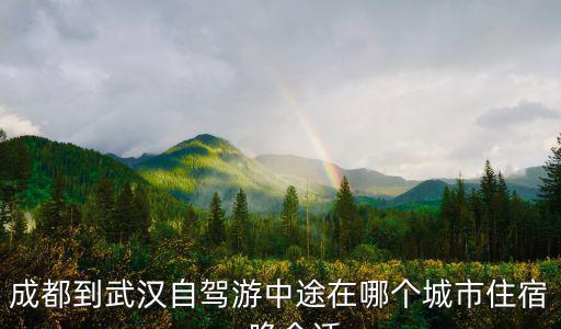 成都到武漢自駕游中途在哪個城市住宿一晚合適