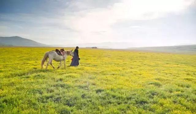 延安自駕游最佳路線圖_延安自駕游攻略三日游_延安自駕游