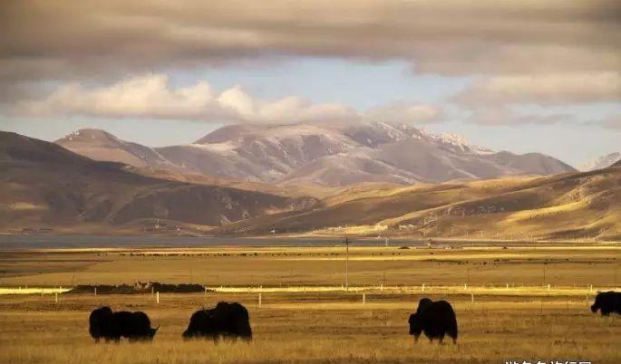 延安自駕游攻略三日游_延安自駕游_延安自駕游最佳路線圖