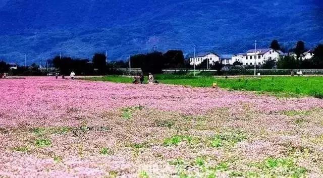 延安自駕游攻略三日游_延安自駕游最佳路線圖_延安自駕游