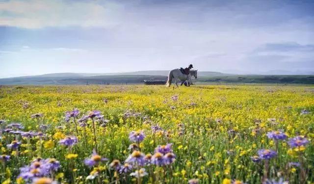 延安自駕游最佳路線圖_延安自駕游_延安自駕游攻略三日游