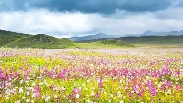 延安自駕游最佳路線圖_延安自駕游攻略三日游_延安自駕游