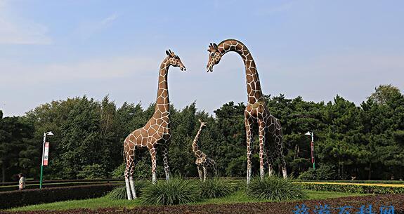 長春旅游攻略必去景點