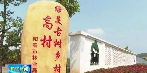 春灣風(fēng)景名勝區(qū)好玩嗎_春灣旅游景點(diǎn)_春灣旅游