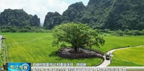 春灣旅游_春灣旅游景點(diǎn)_春灣風(fēng)景名勝區(qū)好玩嗎