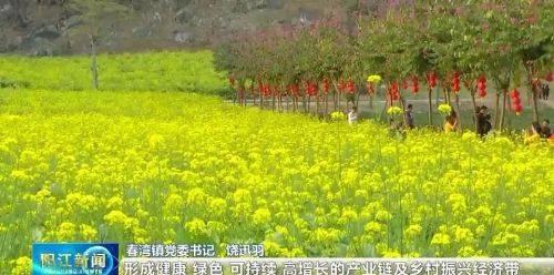 春灣旅游景點(diǎn)_春灣風(fēng)景名勝區(qū)好玩嗎_春灣旅游