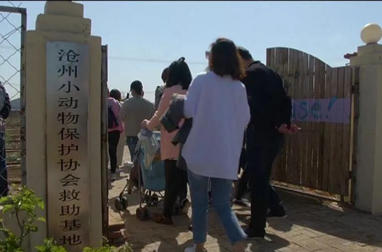 鄉村農業旅游項項目的競爭者_鄉村農業旅游項目簡介_鄉村農業旅游