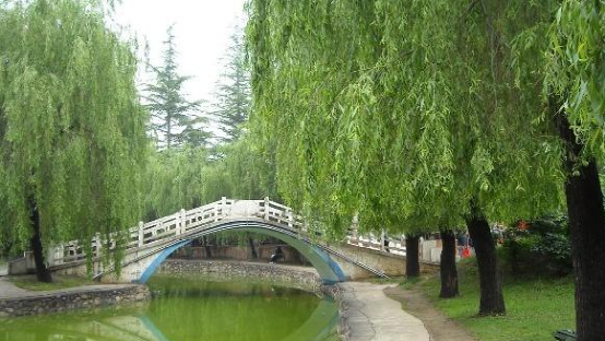 西安到甘肅旅游自駕游_西安自駕甘肅自駕游最佳路線圖_西安出發甘肅旅游路線攻略5天