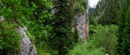 西安自駕甘肅自駕游最佳路線圖_西安出發甘肅旅游路線攻略5天_西安到甘肅旅游自駕游