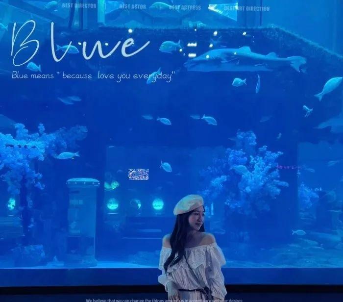 自駕游去大連路線_到大連自駕游_自駕大連游到海邊攻略