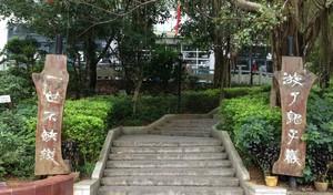 自駕游桂林一天怎么玩_3天自駕游桂林游_游桂林自駕天津路線