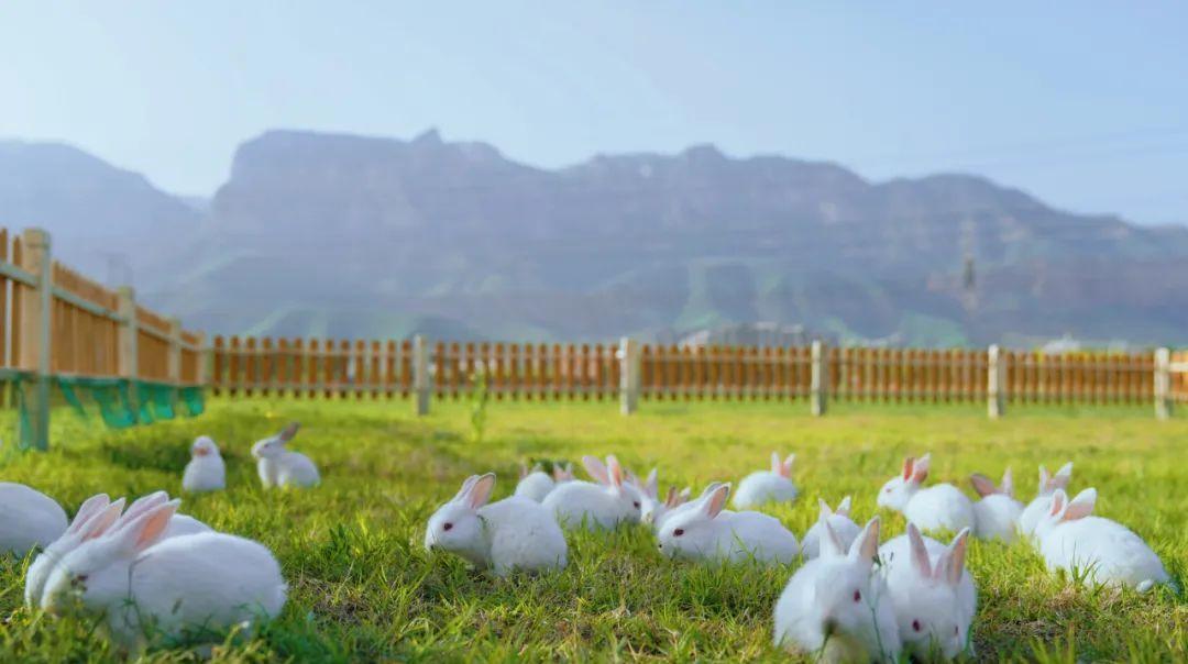 自駕游玩_帶你自駕游_自駕游搭