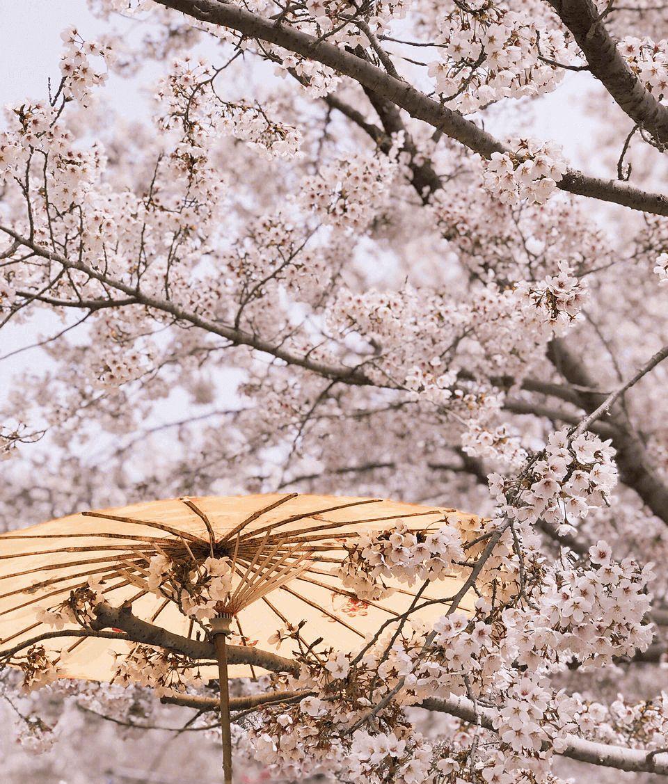 從大連自駕游_到大連自駕游_自駕游去大連路線