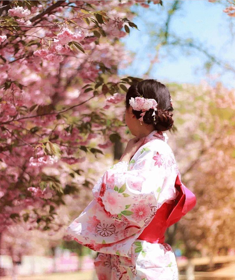 到大連自駕游_自駕游去大連路線_從大連自駕游