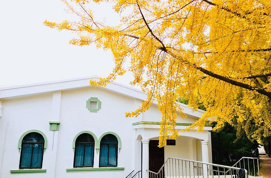 從大連自駕游_自駕游去大連路線_到大連自駕游