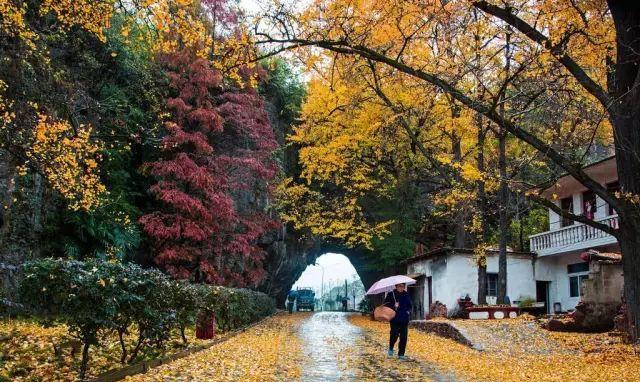 自駕安徽旅游_安徽二日自駕游_自駕安徽游玩攻略