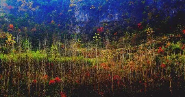 安徽二日自駕游_自駕安徽旅游_自駕安徽游玩攻略