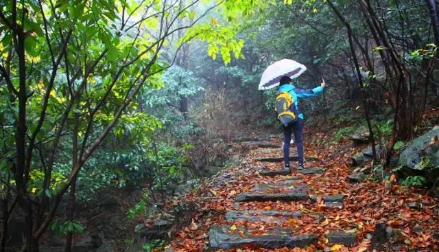 自駕安徽旅游_自駕安徽游玩攻略_安徽二日自駕游