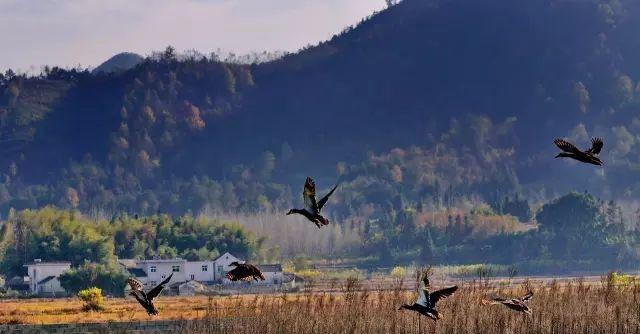 自駕安徽旅游_自駕安徽游玩攻略_安徽二日自駕游