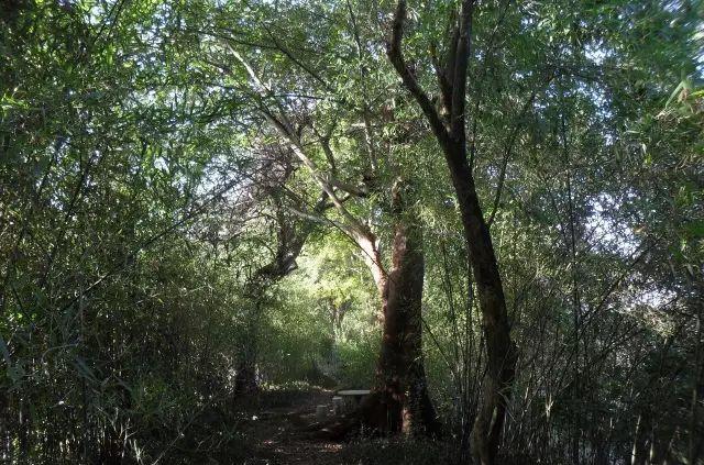 安徽二日自駕游_自駕安徽游玩攻略_自駕安徽旅游