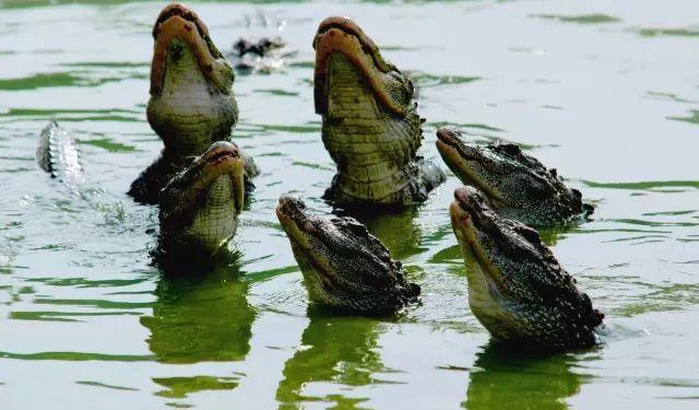 自駕安徽游玩攻略_自駕安徽旅游_安徽二日自駕游