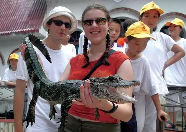 自駕安徽旅游_安徽二日自駕游_自駕安徽游玩攻略