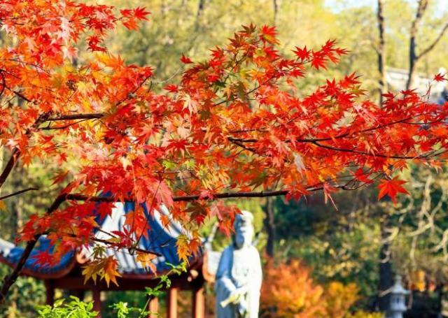 江蘇自駕景點排名_自駕景點江蘇游玩攻略_江蘇自駕游景點