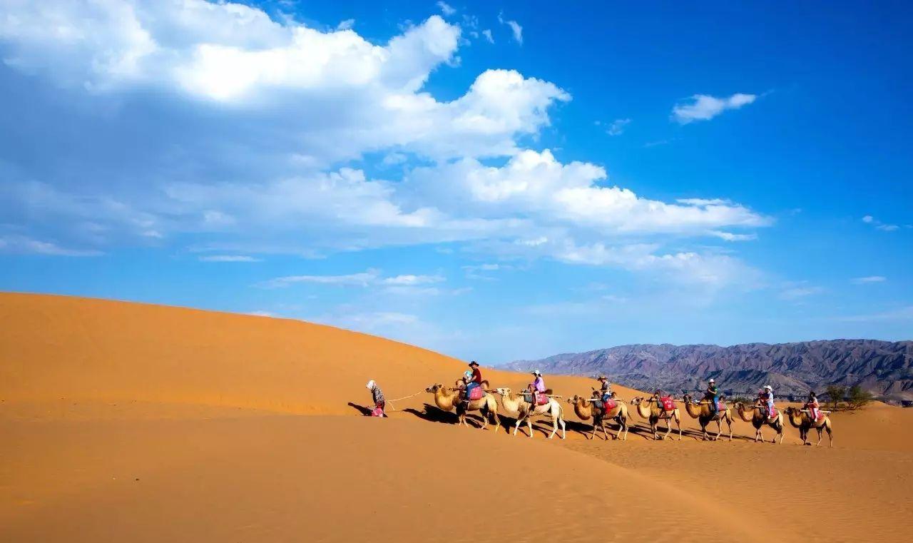 自駕游責(zé)任書樣本_自駕游事故責(zé)任認(rèn)定_自駕游責(zé)任