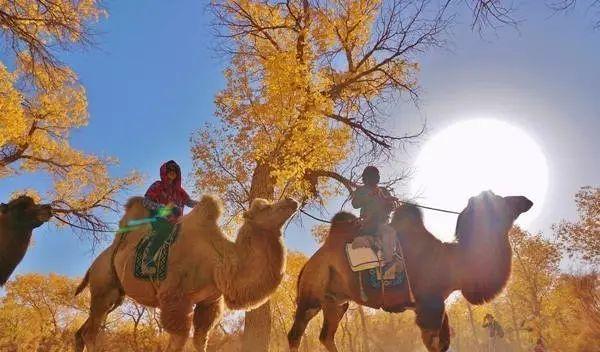 自駕游事故責(zé)任認(rèn)定_自駕游責(zé)任書樣本_自駕游責(zé)任