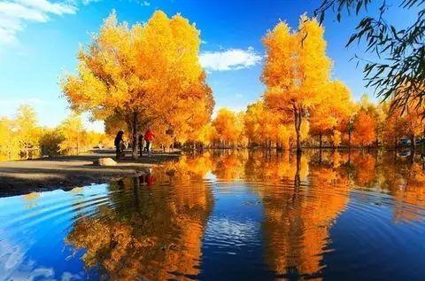 自駕游責(zé)任書樣本_自駕游事故責(zé)任認(rèn)定_自駕游責(zé)任