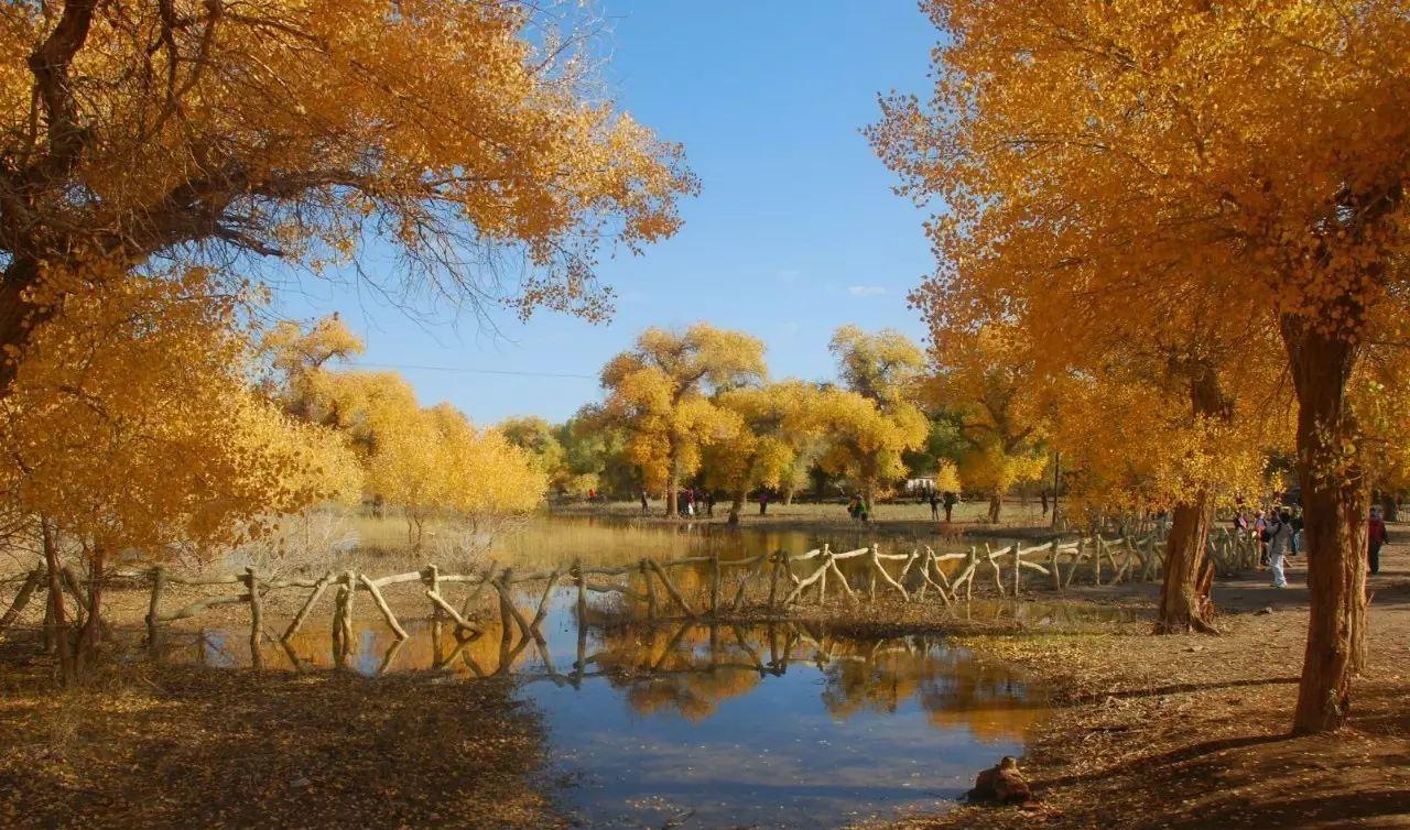 自駕游事故責(zé)任認(rèn)定_自駕游責(zé)任_自駕游責(zé)任書樣本