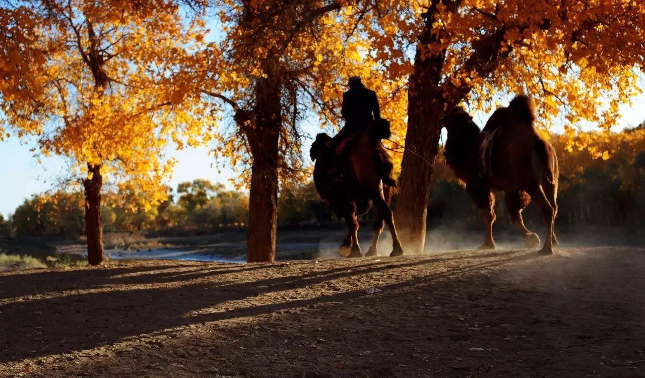 自駕游事故責(zé)任認(rèn)定_自駕游責(zé)任書樣本_自駕游責(zé)任