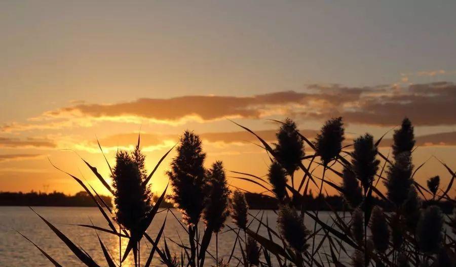 自駕游事故責(zé)任認(rèn)定_自駕游責(zé)任書樣本_自駕游責(zé)任